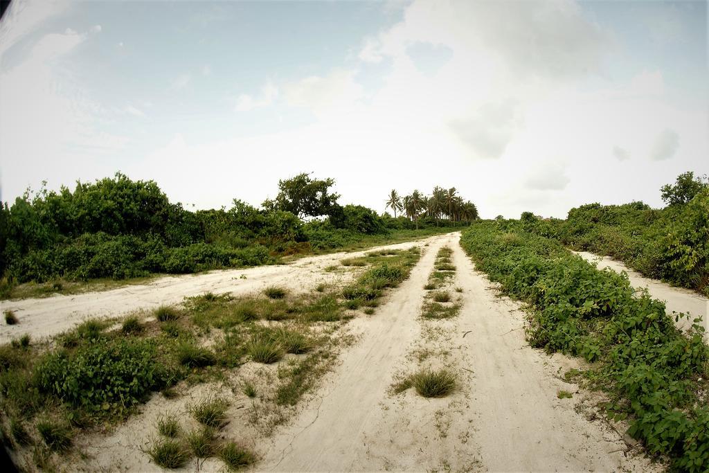 Annama Lodge And Dive Hoarafushi Exterior photo